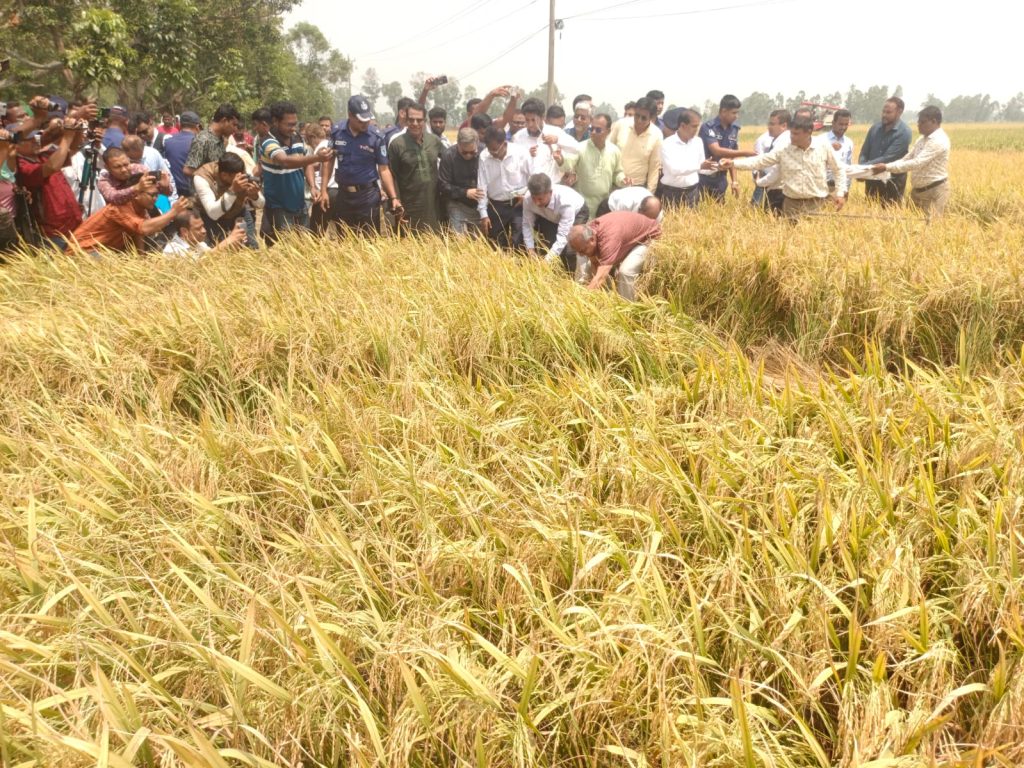 কৃষি কে একটা রোল মডেল হিসেবে দেখতে চান,দিনাজপুর বিরলে কৃষি ও সরাস্ট্র উপদেস্টা